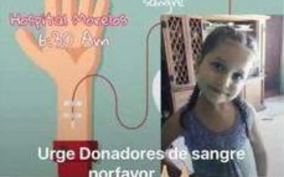 donacion sangre en apoyook